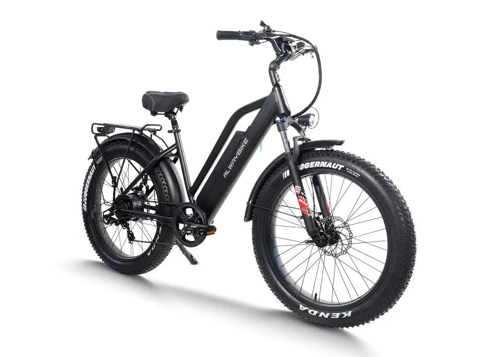 CEMOTO AEB31A Step-Thru City Commuter E-Bike