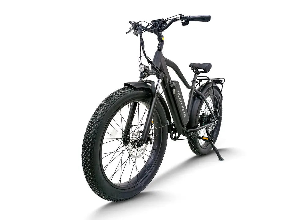 CEMOTO AEB28A 750W Fat Tire Electric Bike