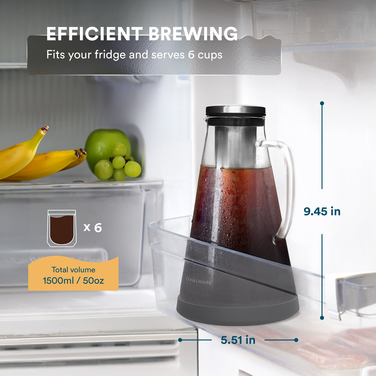 Cold Brew Coffee Maker with Reusable Stainless Steel Filter