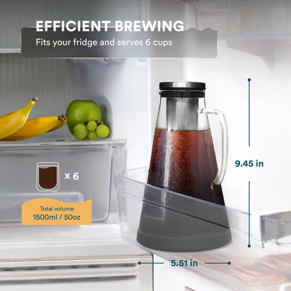 Cold Brew Coffee Maker with Reusable Stainless Steel Filter
