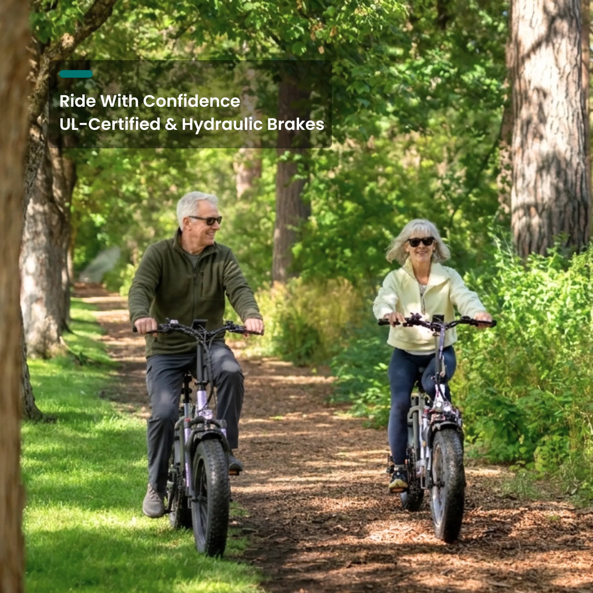 VTUVIA SF20H Foldable Fat Tire Electric Bike