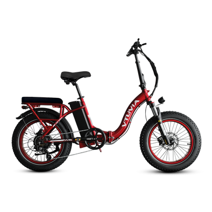VTUVIA SF20H Foldable Fat Tire Electric Bike