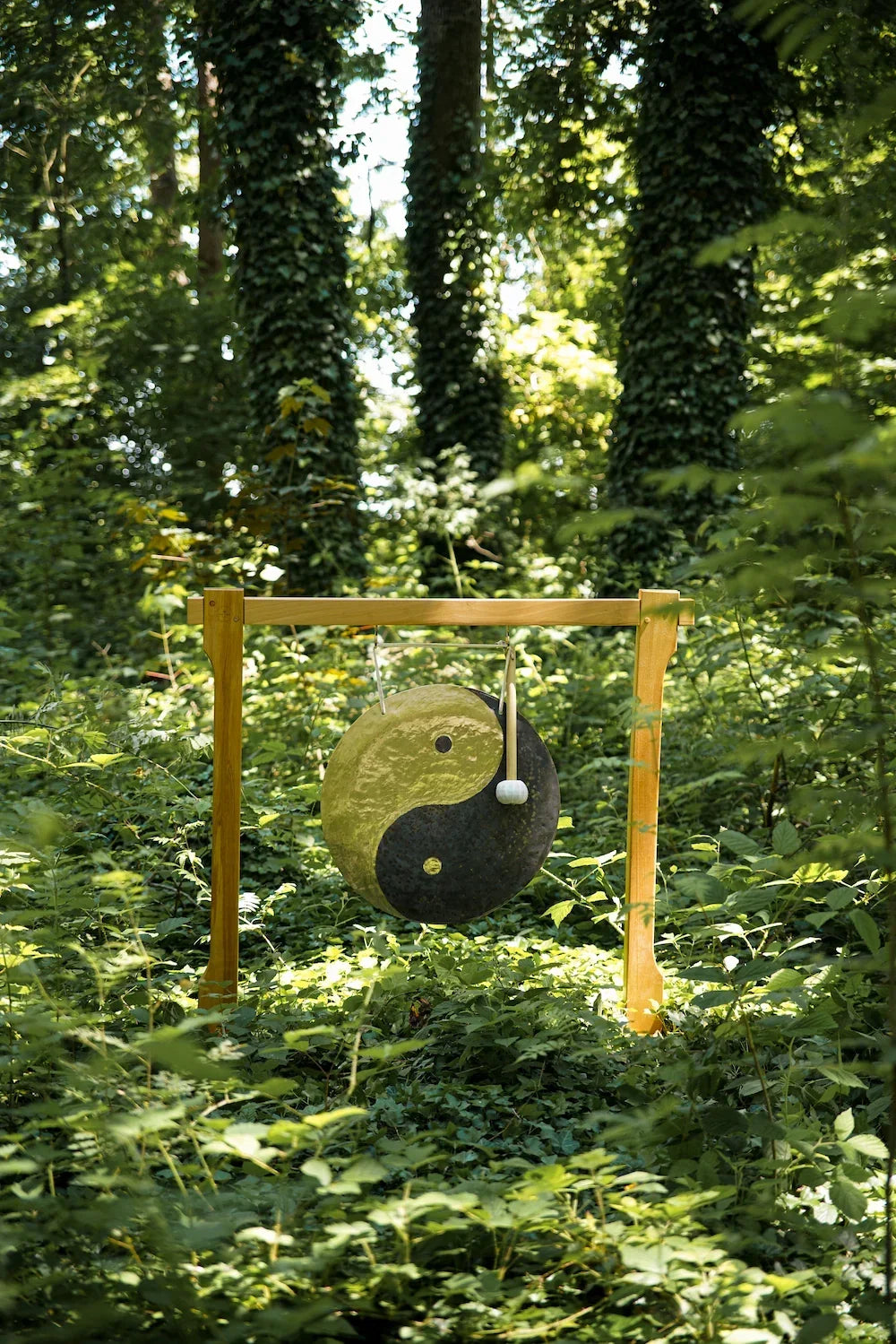 Meinl Sonic Energy 22" Wind Gong – Yin & Yang