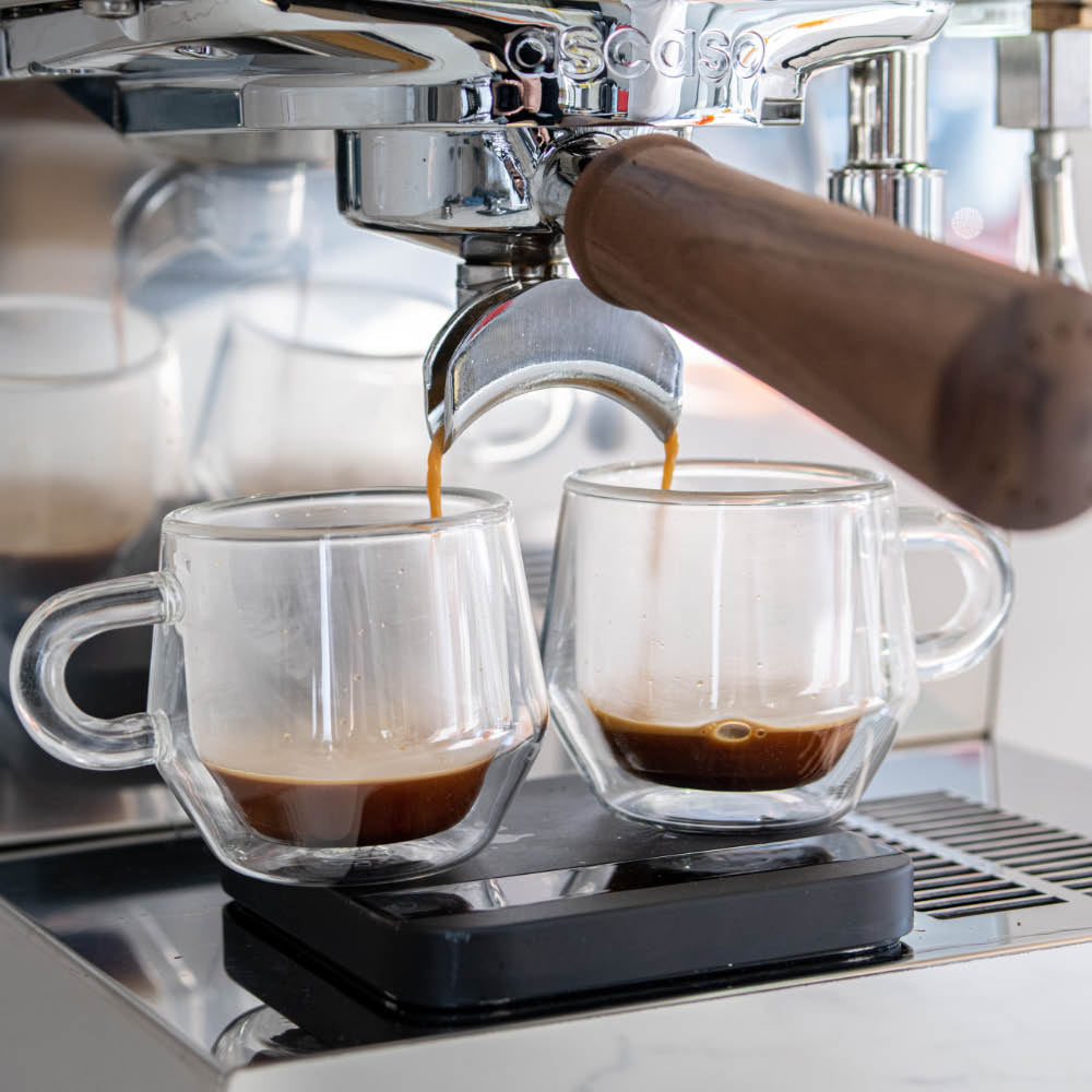 Ascaso Steel DUO PLUS PID Espresso Machine - White