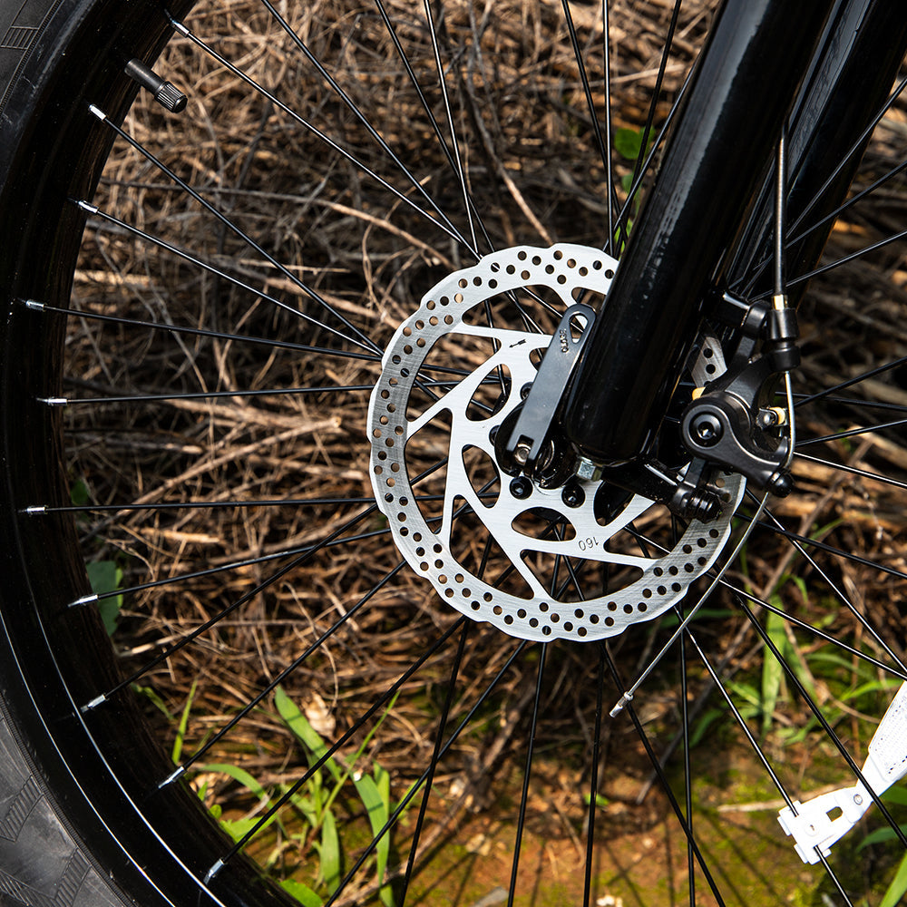 SIVROCK V1 1000W Fat Tire Electric Bike