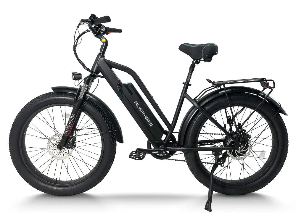 CEMOTO AEB31A Step-Thru City Commuter E-Bike