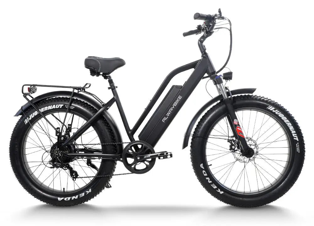 CEMOTO AEB31A Step-Thru City Commuter E-Bike