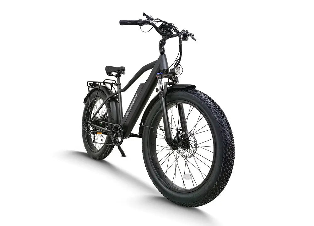 CEMOTO AEB28A 750W Fat Tire Electric Bike