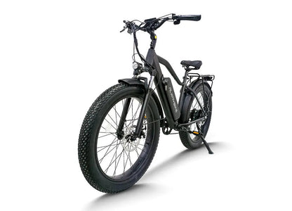 CEMOTO AEB28A 750W Fat Tire Electric Bike