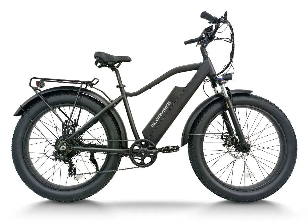 CEMOTO AEB28A 750W Fat Tire Electric Bike
