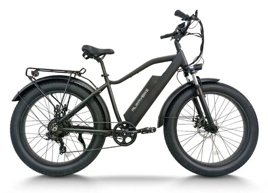 CEMOTO AEB28A 750W Fat Tire Electric Bike