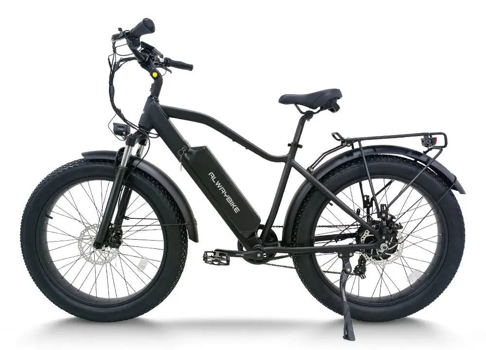 CEMOTO AEB28A 750W Fat Tire Electric Bike