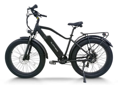 CEMOTO AEB28A 750W Fat Tire Electric Bike