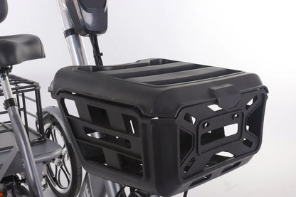 Snagva Foldable 400W Electric Cargo Tricycle