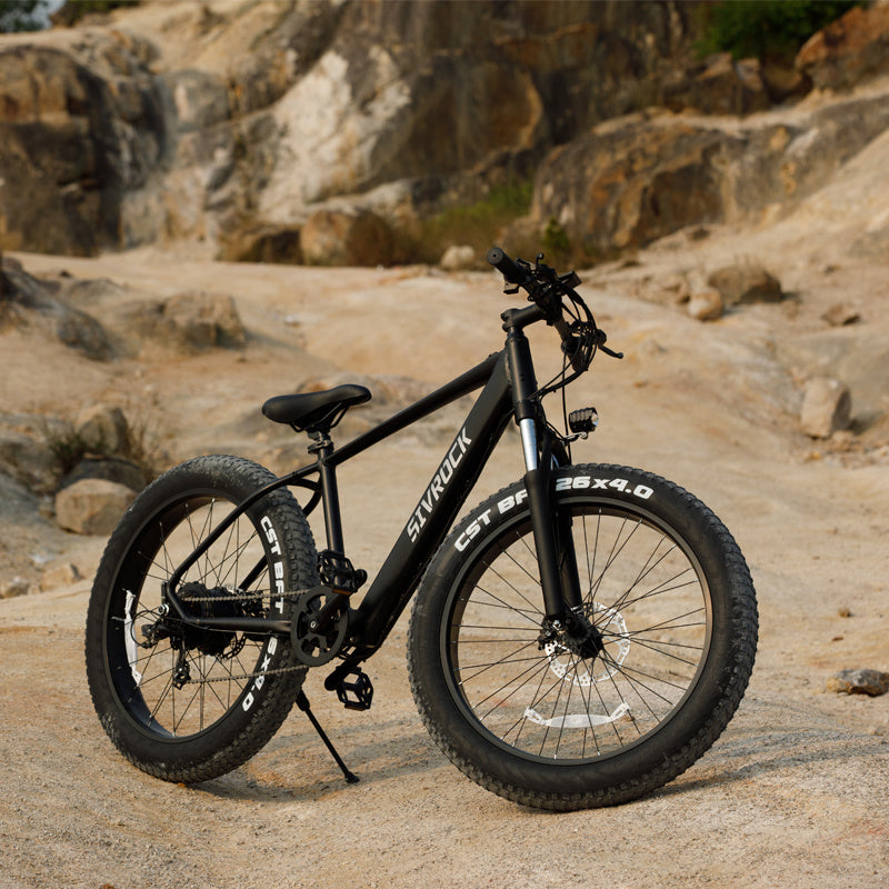 1000W 26" Fat Tire Electric Mountain Bike