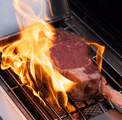 ClearView® Eminence 405 Premium Gas Grill