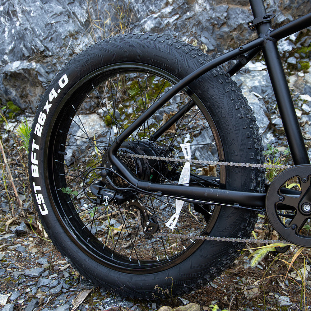 1000W 26" Fat Tire Electric Mountain Bike