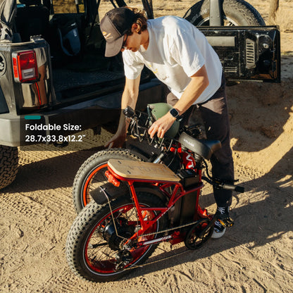 VTUVIA SF20H Foldable Fat Tire Electric Bike