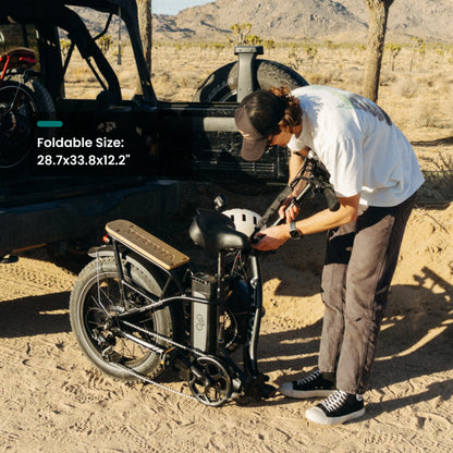 VTUVIA SF20H Foldable Fat Tire Electric Bike