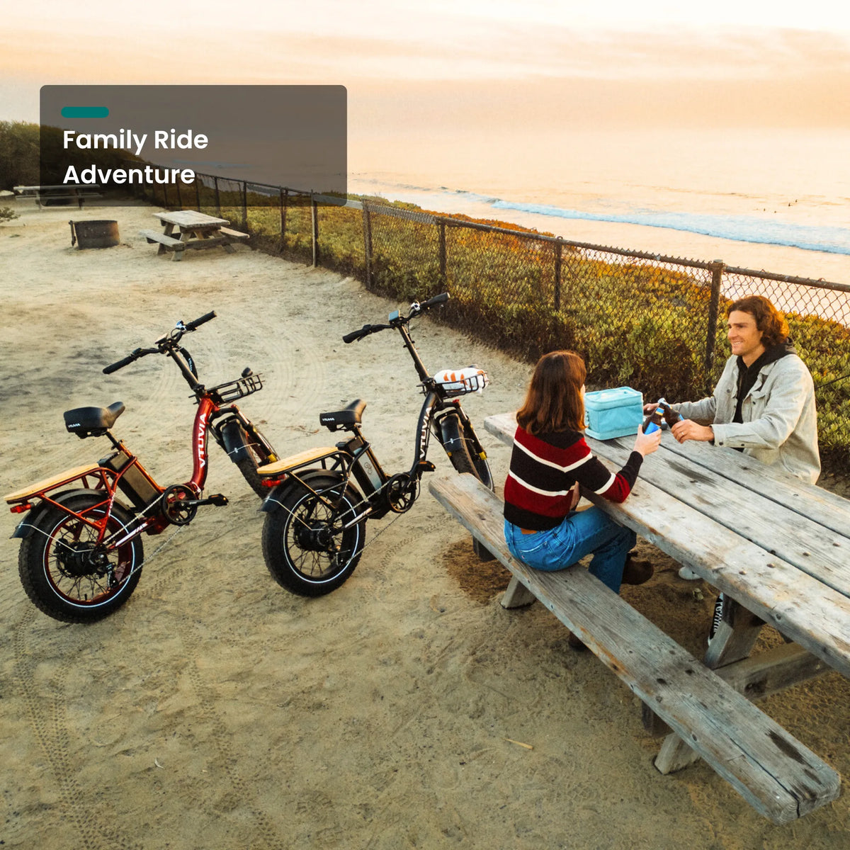 VTUVIA SF20H Foldable Fat Tire Electric Bike