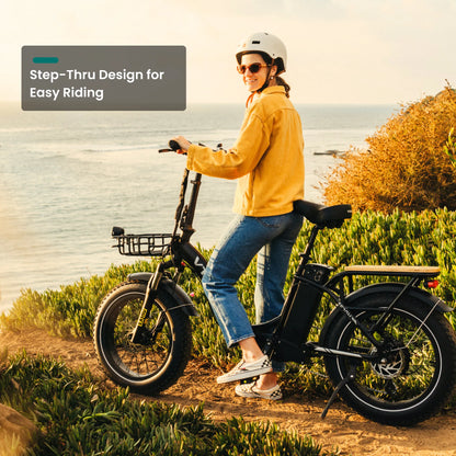 VTUVIA SF20H Foldable Fat Tire Electric Bike