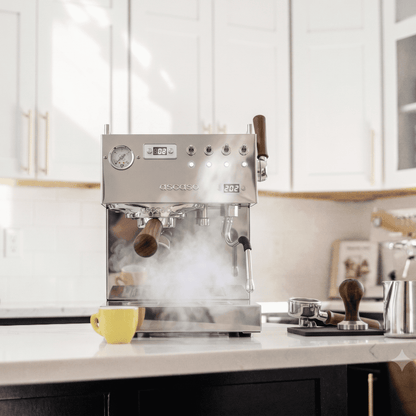 Ascaso Steel DUO PLUS PID Espresso Machine - Inox