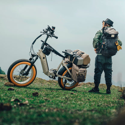 VTUVIA SX20 750W Step-Through Folding Electric Bike