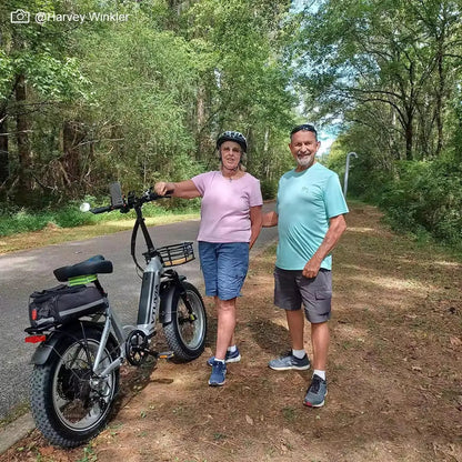 VTUVIA SX20 750W Step-Through Folding Electric Bike