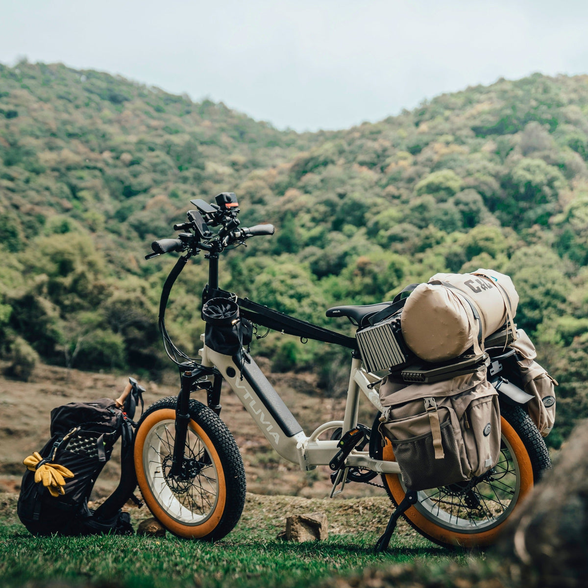 VTUVIA SX20 750W Step-Through Folding Electric Bike