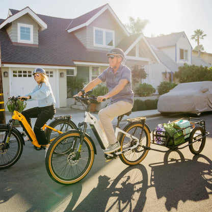 ZEAL XT8 750W Torque-Sensor Electric Bike