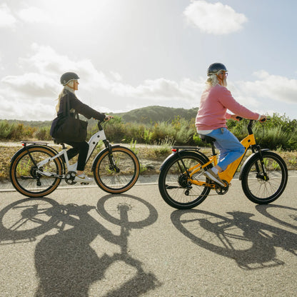 ZEAL XT8 750W Torque-Sensor Electric Bike